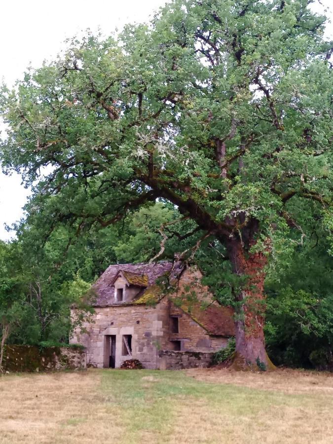 Les Granges De L Abbaye Bed & Breakfast Ginals Luaran gambar